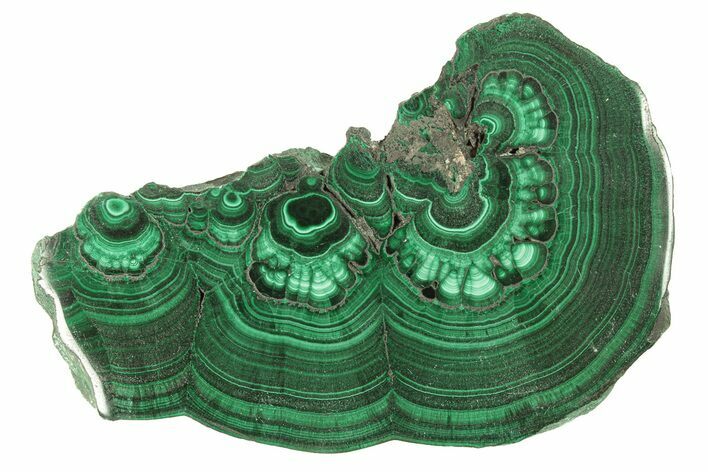 Polished Malachite Slab - DR Congo #264835